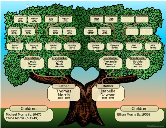 albero genealogico scuola infanzia - Cerca con Google